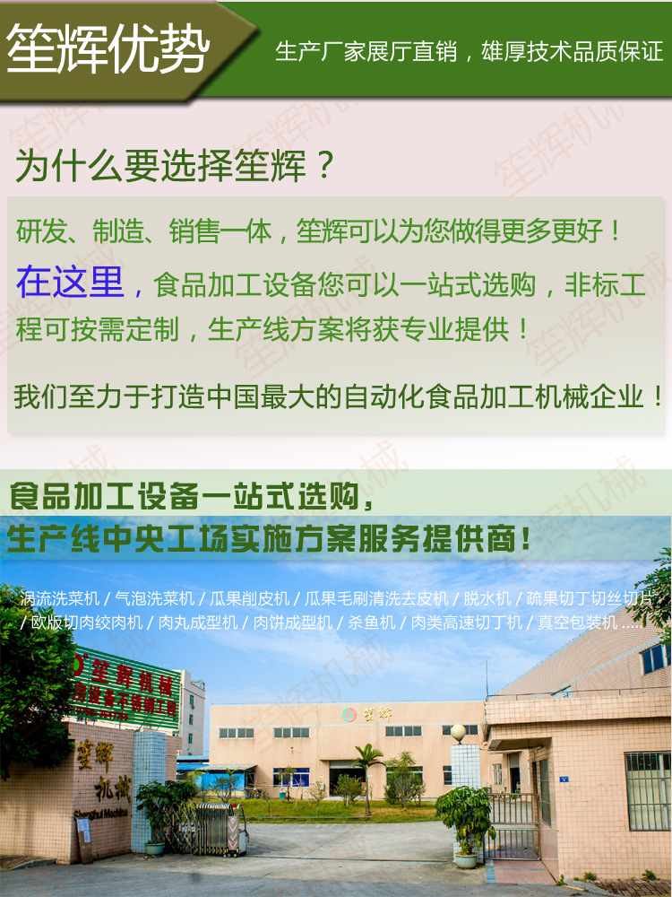 供應(yīng)清洗機WL-24 專業(yè)臭氧消毒洗大棗 去雜去毛發(fā)洗菜機 商用