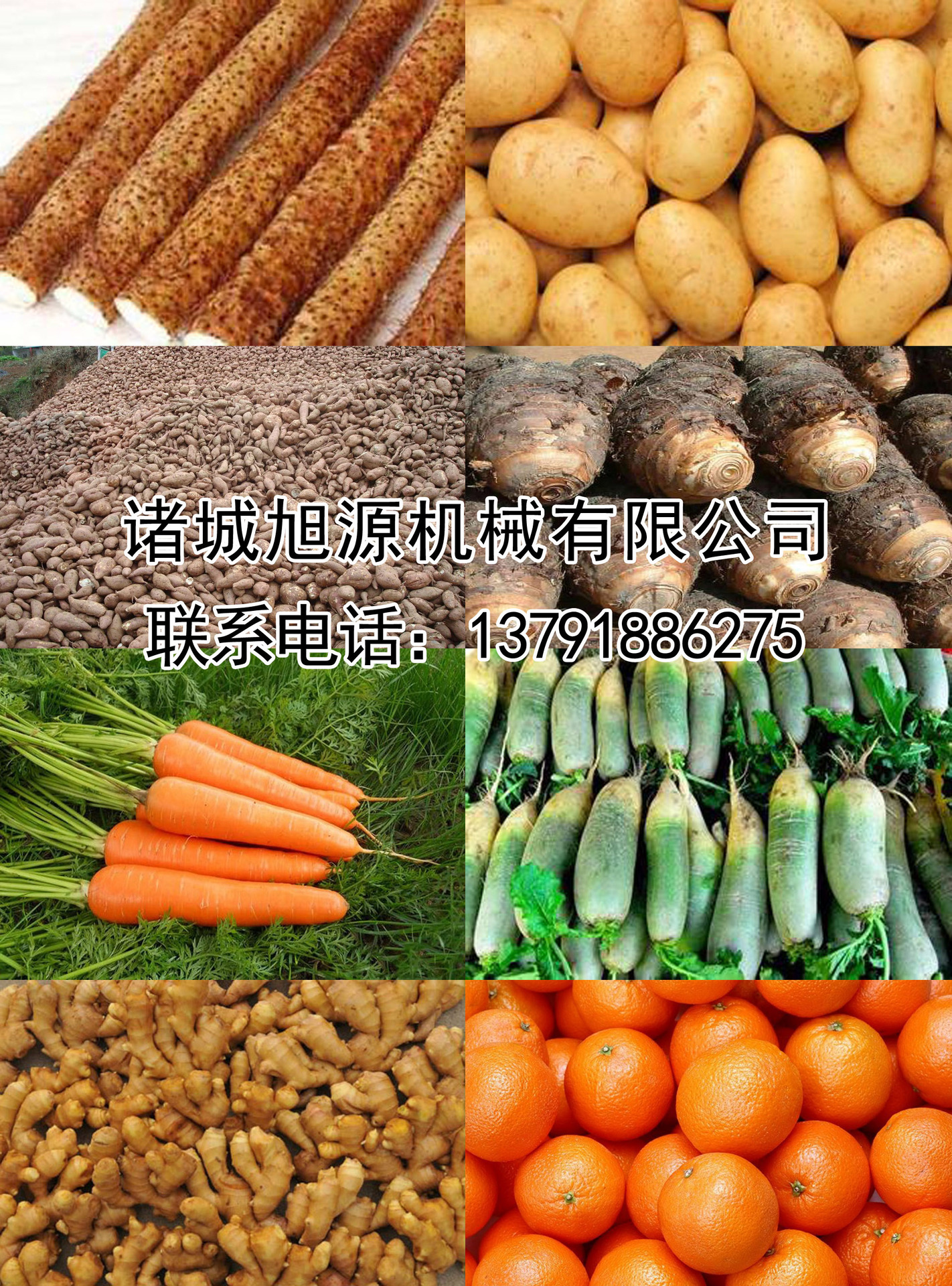 廠家直銷瓜果清洗機 果蔬清洗機 商用洗菜機 品質(zhì)蔬菜清洗機