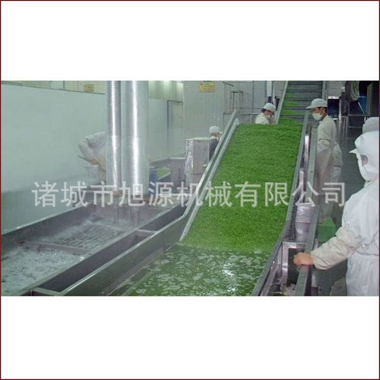 廠家直銷瓜果清洗機 果蔬清洗機 商用洗菜機 品質(zhì)蔬菜清洗機