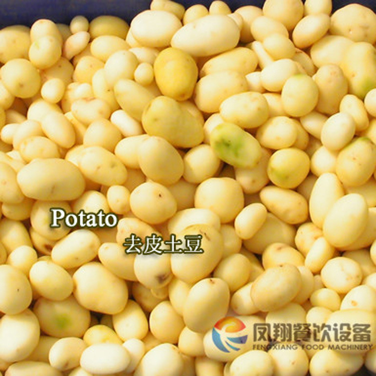 廠家直銷供應(yīng)螺旋清洗脫皮機(jī) 土豆紅薯蘿卜去皮清洗機(jī) 不銹鋼商用