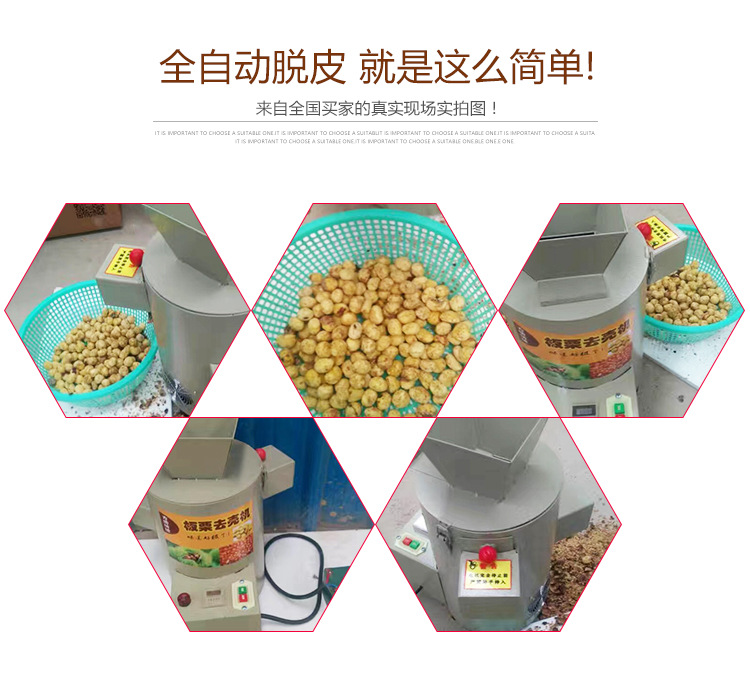 創(chuàng)業(yè)設(shè)備全自動(dòng)電動(dòng)商用家用板栗脫皮機(jī)板栗去皮機(jī)炒貨栗子脫殼機(jī)