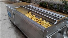 商用土豆脫皮機(jī)，土豆去皮機(jī)，土豆削皮機(jī)