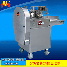 恒聯(lián)TQ5普裝食物切碎機臺式食品切碎機商用香蔥佐料切碎細機
