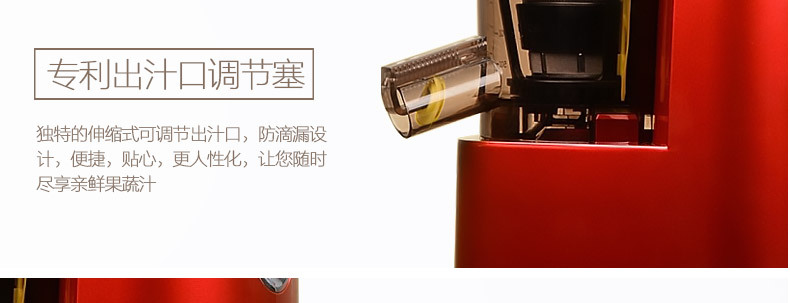 SAVTM/獅威特商用大口徑多功能榨汁機(jī) 攪拌果汁機(jī)低速原汁機(jī)批發(fā)