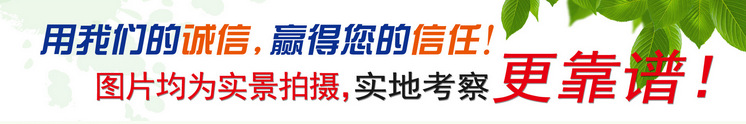 QQ截圖20150903162846