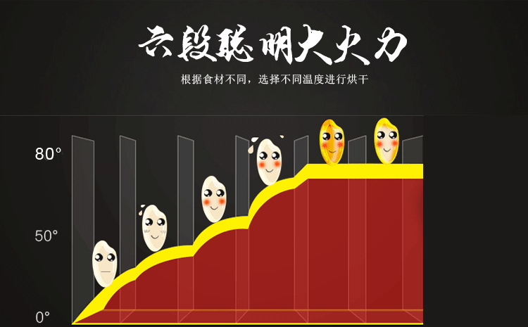 水果蔬菜脫水風(fēng)干機 家用商用不銹鋼干果機 寵物食品烘干機特價