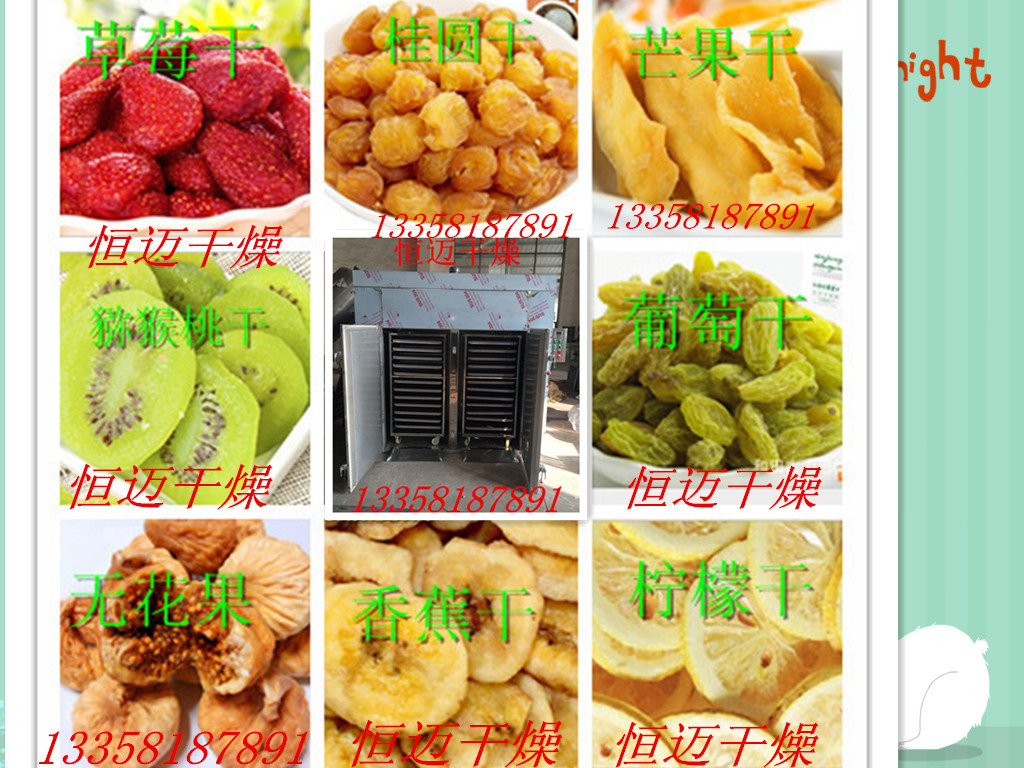 家用不銹鋼干果機(jī) 商用水果蔬菜干燥機(jī) 食物 食品 藥材烘干機(jī)