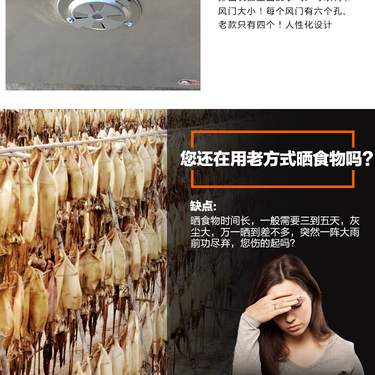 食品烘干機 商用臘腸臘肉風干設備 海產(chǎn)品干烘箱 蔬菜水果風干箱