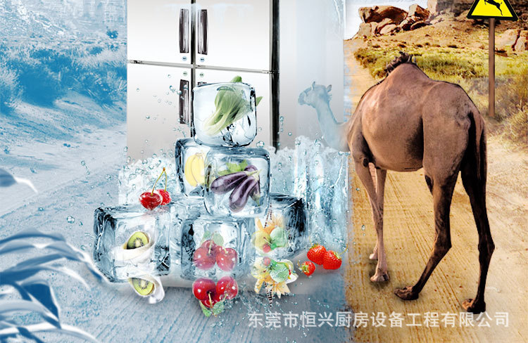 格林斯達(dá)星星冰柜商用工作臺(tái)冷藏冷凍四門機(jī)械控溫帶移動(dòng)輪直銷