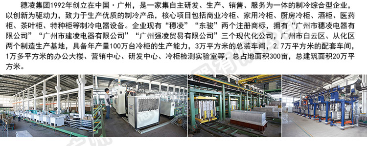 穗凌 LG4-700M2/W商用冰柜立式冷藏超市冰柜雙門展示柜不結(jié)霜風(fēng)冷