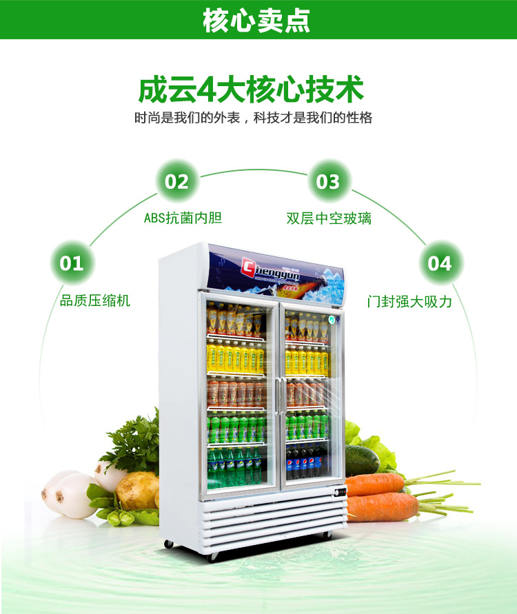 成云廠(chǎng)家直銷(xiāo)雙門(mén)立式飲料展示柜啤酒陳列冰柜 商用冷柜