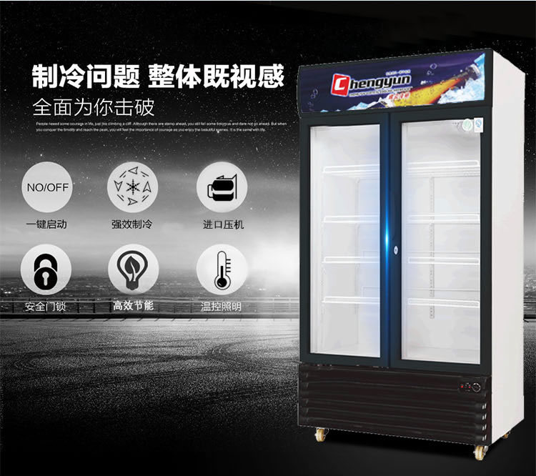 成云廠(chǎng)家直銷(xiāo)雙門(mén)立式飲料展示柜啤酒陳列冰柜 商用冷柜