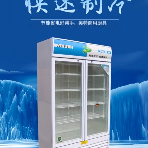 雙門冷藏保鮮柜立式超市冷飲飲料柜 商用展示柜冷柜冰柜