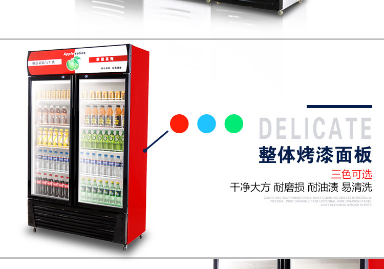 奇博士啤酒飲料展示柜立式冷藏柜冰箱商用冰柜雙門(mén)單門(mén)飲品保鮮柜