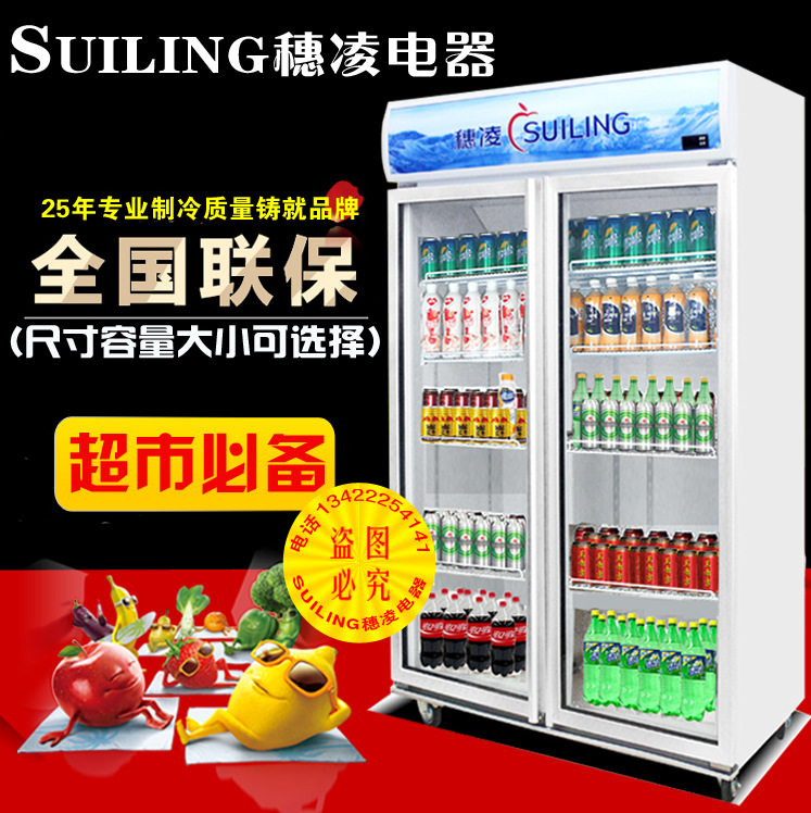 穗凌 LG4-882M2F商用立式冰柜冷飲料柜冷藏保鮮展示柜雙門(mén)冷柜