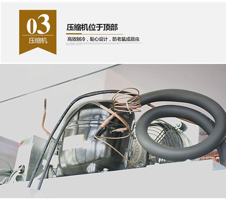 金松四門六門雙溫冰箱節(jié)能廚房家用電器商用電冰箱冷凍保鮮冰柜