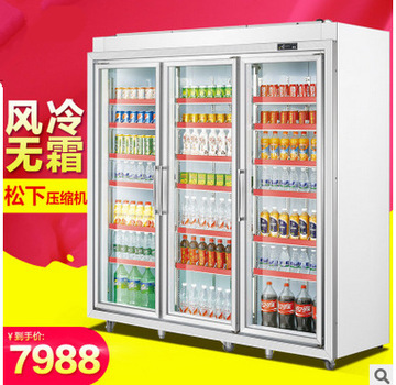 廠家直銷冰淇淋柜 風(fēng)冷臥式商用硬質(zhì)冷凍雪糕柜展示柜12盤新品