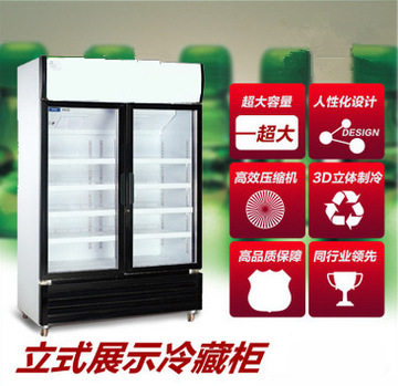 廠家直銷冰淇淋柜 風(fēng)冷臥式商用硬質(zhì)冷凍雪糕柜展示柜12盤新品