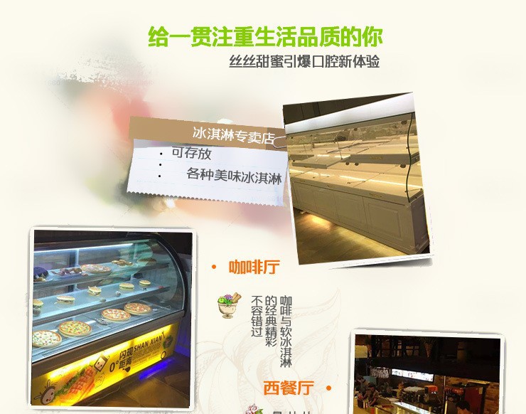 廠家直銷冰淇淋柜 風(fēng)冷臥式商用硬質(zhì)冷凍雪糕柜展示柜12盤新品