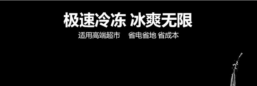 廠(chǎng)家直銷(xiāo)冰柜立式五門(mén)冷藏陳列柜 飲料展示冰箱 超市便利店保鮮柜