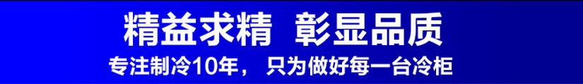 廠(chǎng)家直銷(xiāo)冰柜立式五門(mén)冷藏陳列柜 飲料展示冰箱 超市便利店保鮮柜