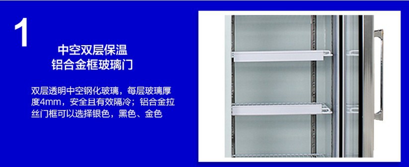 廠(chǎng)家直銷(xiāo)冰柜立式五門(mén)冷藏陳列柜 飲料展示冰箱 超市便利店保鮮柜