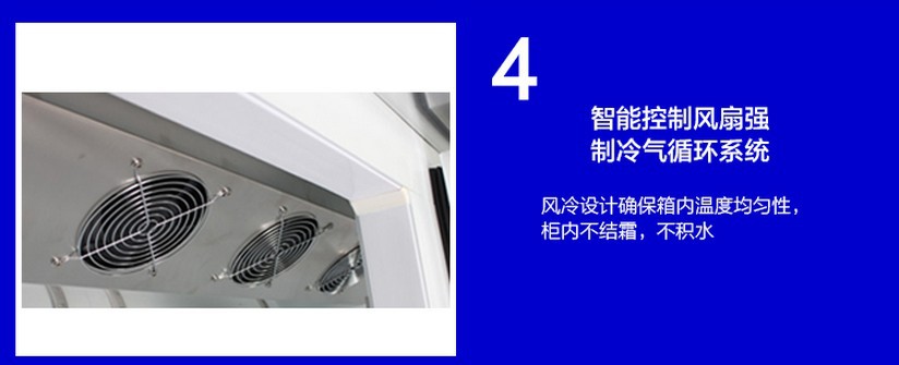 廠(chǎng)家直銷(xiāo)冰柜立式五門(mén)冷藏陳列柜 飲料展示冰箱 超市便利店保鮮柜