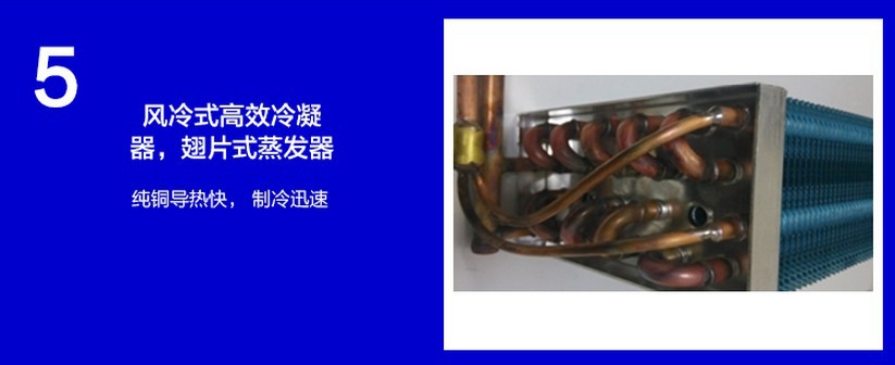 廠(chǎng)家直銷(xiāo)冰柜立式五門(mén)冷藏陳列柜 飲料展示冰箱 超市便利店保鮮柜