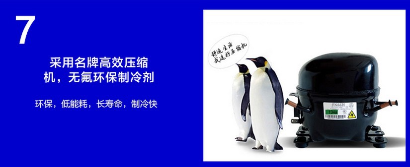 廠(chǎng)家直銷(xiāo)冰柜立式五門(mén)冷藏陳列柜 飲料展示冰箱 超市便利店保鮮柜
