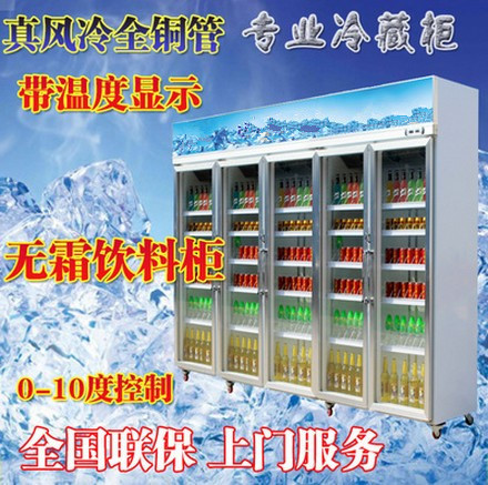 廠(chǎng)家直銷(xiāo)冰柜立式五門(mén)冷藏陳列柜 飲料展示冰箱 超市便利店保鮮柜
