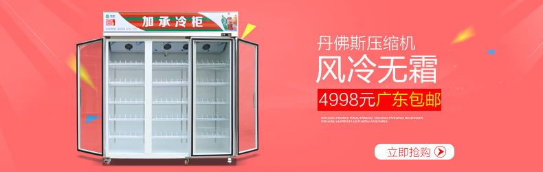 冷鮮肉凍丸子食品展示冰柜冷柜單溫風(fēng)冷冷凍柜餃子柜