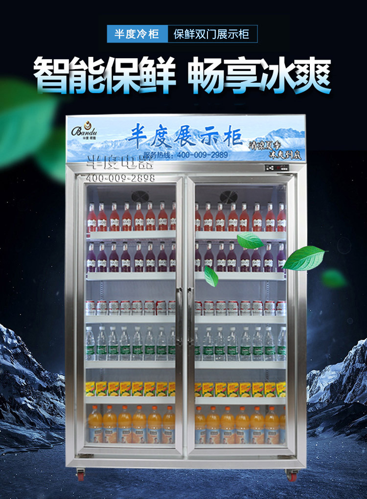 無霜風(fēng)冷飲料展示陳列冷藏冰柜 超市酒店便利店鋁合計玻璃門冰柜
