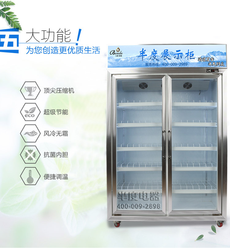 無霜風(fēng)冷飲料展示陳列冷藏冰柜 超市酒店便利店鋁合計玻璃門冰柜