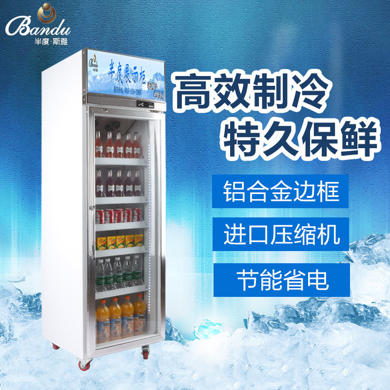 無霜風(fēng)冷飲料展示陳列冷藏冰柜 超市酒店便利店鋁合計玻璃門冰柜