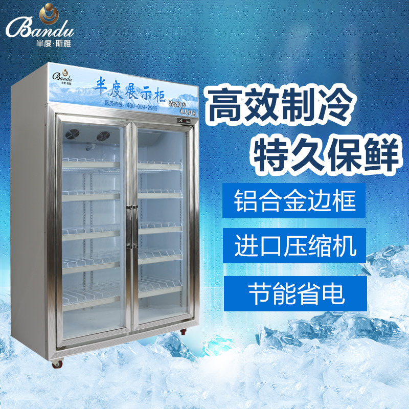 無霜風(fēng)冷飲料展示陳列冷藏冰柜 超市酒店便利店鋁合計玻璃門冰柜