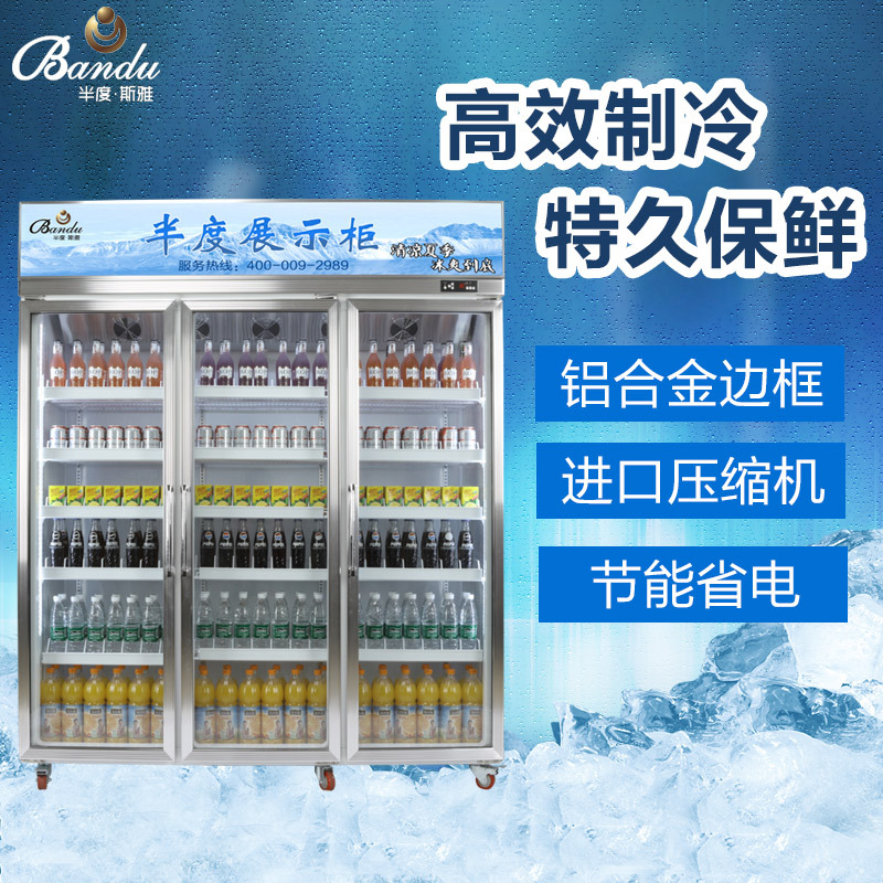 無霜風(fēng)冷飲料展示陳列冷藏冰柜 超市酒店便利店鋁合計玻璃門冰柜