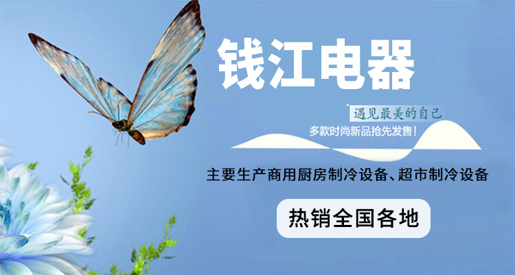 錢(qián)江立式雙門(mén)展示冰柜 冷凍超市展示冰柜 飲料啤酒陳列冷柜1.2米