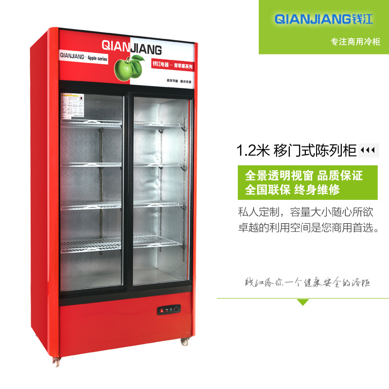 錢(qián)江立式雙門(mén)展示冰柜 冷凍超市展示冰柜 飲料啤酒陳列冷柜1.2米