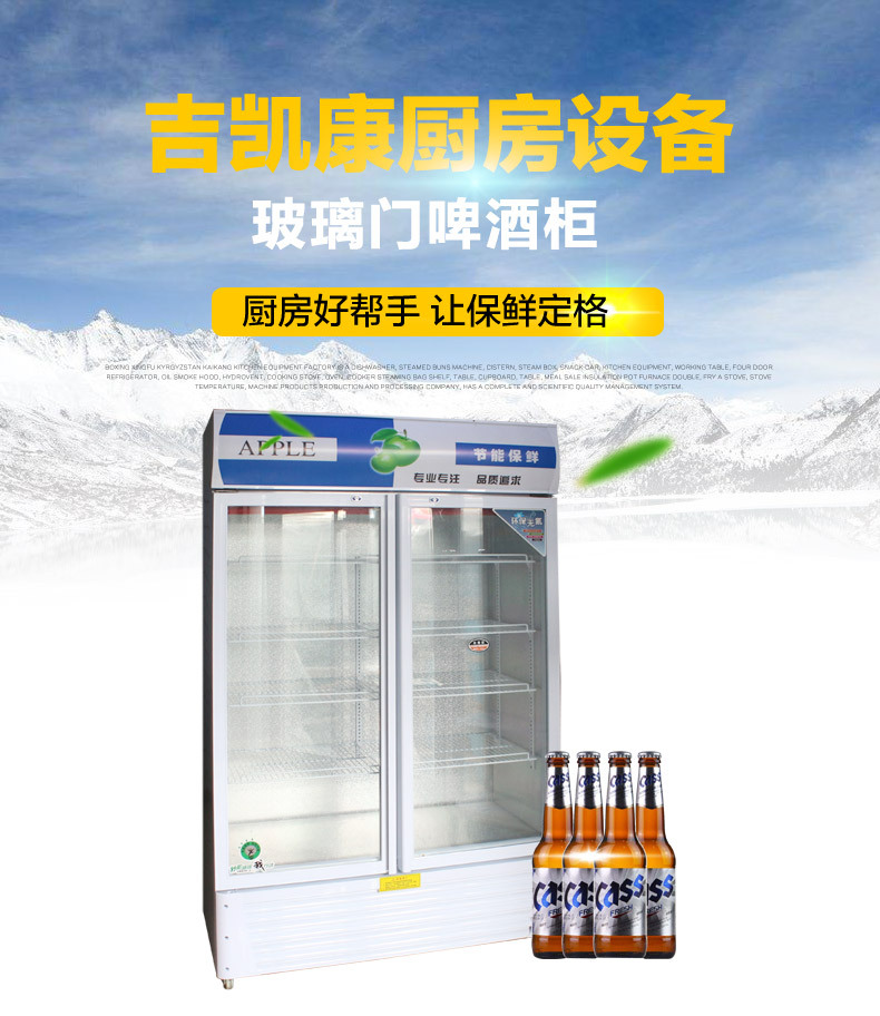 廠家現(xiàn)貨供應(yīng)單門(mén)雙門(mén)啤酒展示柜 冷藏立式冰柜 冷飲保鮮柜
