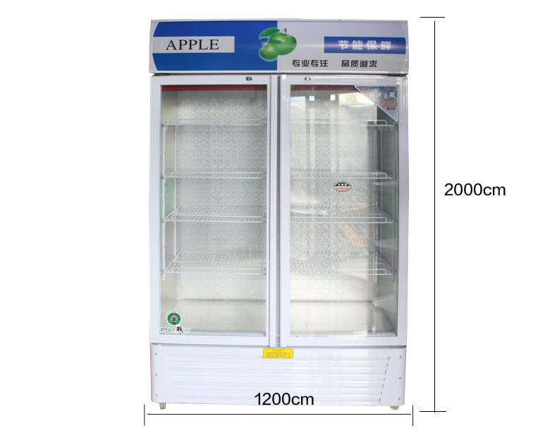 廠家現(xiàn)貨供應(yīng)單門(mén)雙門(mén)啤酒展示柜 冷藏立式冰柜 冷飲保鮮柜