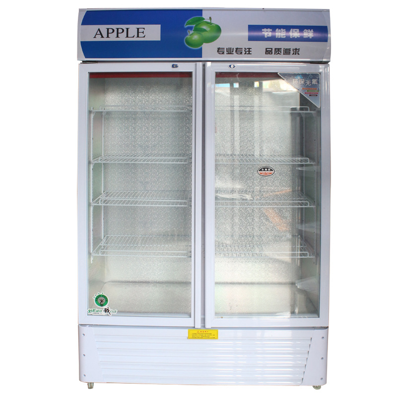 廠家現(xiàn)貨供應(yīng)單門(mén)雙門(mén)啤酒展示柜 冷藏立式冰柜 冷飲保鮮柜