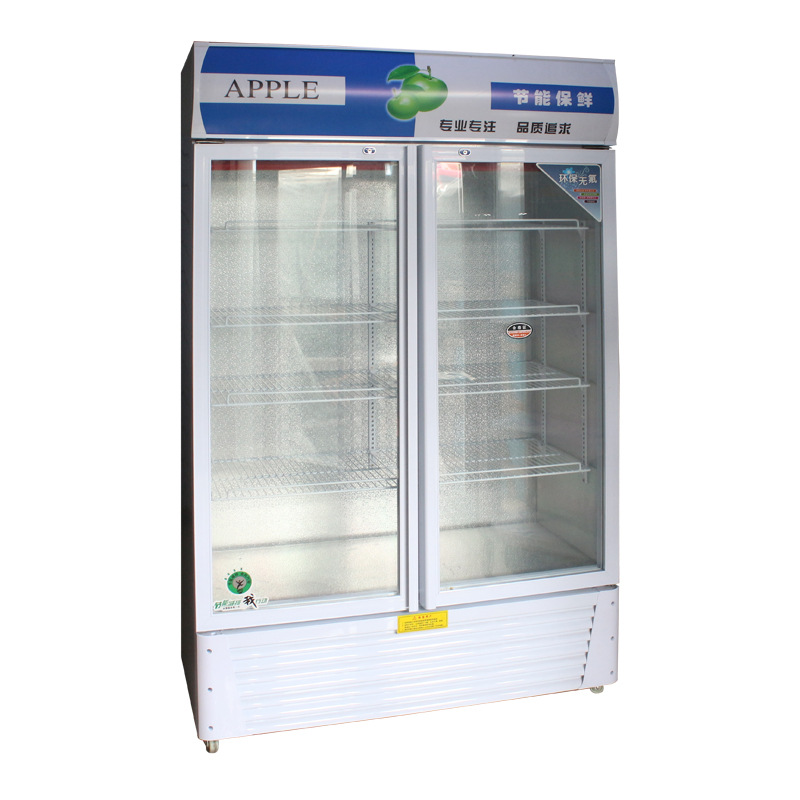 廠家現(xiàn)貨供應(yīng)單門(mén)雙門(mén)啤酒展示柜 冷藏立式冰柜 冷飲保鮮柜