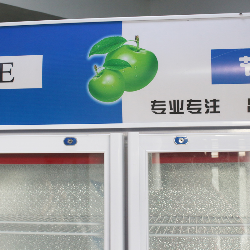 廠家現(xiàn)貨供應(yīng)單門(mén)雙門(mén)啤酒展示柜 冷藏立式冰柜 冷飲保鮮柜