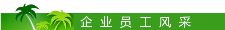 企業(yè)員工風采