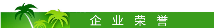 企業(yè)榮譽