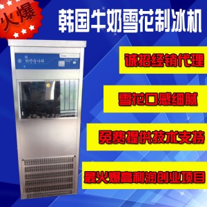 美食街果品飲料雪花制冰機 韓國品質(zhì)顆粒碎花冰商用雪冰機、