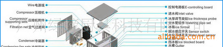 綠締ZB-80B 商用制冰機(jī) 運(yùn)行狀況實(shí)時(shí)顯示 冰厚可調(diào) 冰塊更透明