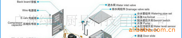 綠締ZB-80B 商用制冰機(jī) 運(yùn)行狀況實(shí)時(shí)顯示 冰厚可調(diào) 冰塊更透明