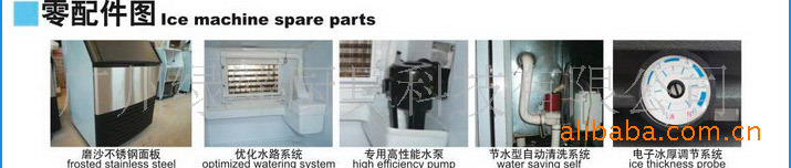 綠締ZB-80B 商用制冰機(jī) 運(yùn)行狀況實(shí)時(shí)顯示 冰厚可調(diào) 冰塊更透明