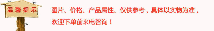 專業(yè)供應(yīng) 高效板冰機 小型制冰機 全自動板冰機 價格實惠